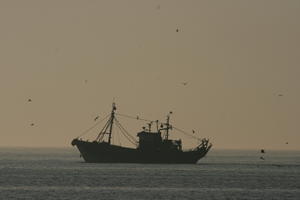 boat, dusk, Essaouira, eye level view, Morocco, seascape, ship, silhouette