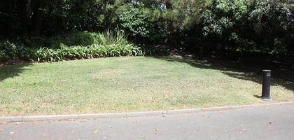 Australia, bush, day, eye level view, grass, natural light, New South Wales, park, path, summer, sunny, Sydney, tree