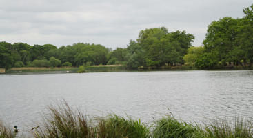 day, diffuse, diffused light, England, eye level view, lake, London, natural light, park, spring, The United Kingdom, treeline