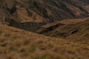 day, elevated, grass, mountain, summer, sunlight, sunny, sunshine