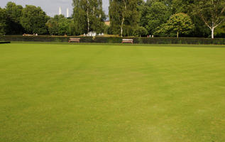 day, direct sunlight, England, eye level view, grass, London, park, summer, sunny, The United Kingdom