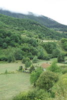 Asturias, day, diffuse, diffused light, elevated, mountain, natural light, Spain, summer, woodland