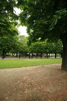 day, eye level view, France, grass, Ile-De-France, natural light, overcast, Paris, park, path, spring, tree, vegetation