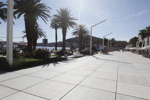 Croatia, day, eye level view, lamppost, palm, pavement, Phoenix canariensis, Split, Splitsko-Dalmatinska, summer, sunny