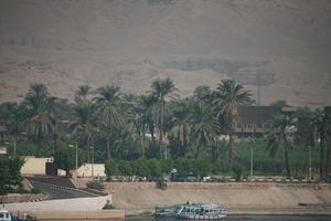 boat, day, East Timor, Egypt, Egypt, elevated, natural light, palm, river, tree, vegetation