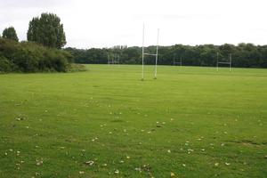 day, England, eye level view, field, grass, London, natural light, The United Kingdom, vegetation