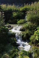 bush, Croatia, day, eye level view, grass, Karlovacka, sunny, vegetation, waterfall