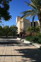 Alicante, day, eye level view, pavement, Spain, sunny, tree, Valenciana