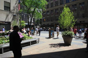 building, day, eye level view, Manhattan, New York, people, potted plant, standing, street, summer, sunny, The United States, tree, vegetation