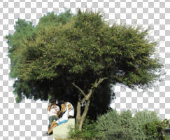 bush, cutout, cutout trees, day, eye level view, group, people, shrub, sitting, summer, sunny, tree