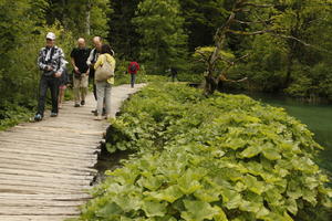 casual, Croatia, day, diffuse, diffused light, eye level view, group, Karlovacka, natural light, path, people, plant, shrub, summer, tourist, walking