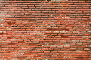 brick, day, natural light, texture, wall