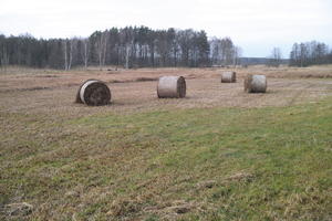 ambient light, countryside, day, eye level view, field, grass, haystack, overcast, Poland, Wielkopolskie, winter, Wolsztyn