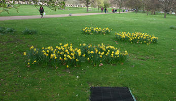 day, England, eye level view, flower, grass, London, park, spring, The United Kingdom