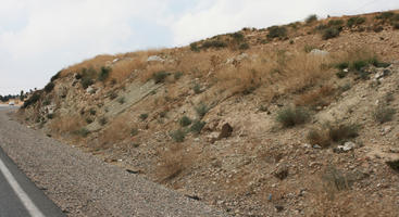 Agadir, day, desert, diffuse, diffused light, eye level view, Morocco