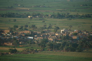 aerial view, dusk, East Timor, Egypt, Egypt, palm, town, tree, vegetation