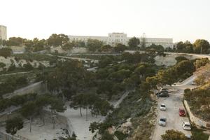 Alicante, dusk, elevated, park, Spain, tree, Valenciana, vegetation