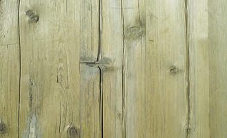 day, eye level view, sunny, texture, wood