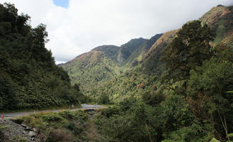 day, diffuse, diffused light, eye level view, mountain, natural light, New Zealand, overcast, summer, vegetation, West Coast, woodland