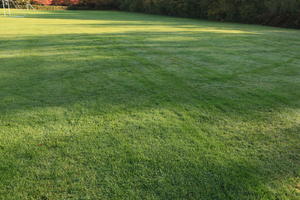 day, England, eye level view, grass, London, natural light, park, sunny, The United Kingdom, vegetation