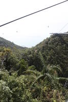 cable car, day, elevated, forest, Kedah, Malaysia, mountain, sunny, vegetation