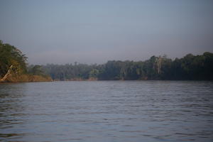 afternoon, Brunei, day, eye level view, river, summer, sunny, treeline, tropical