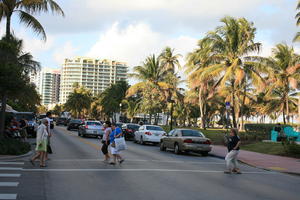 car, day, eye level view, Florida, Miami, natural light, palm, people, street, sunny, The United States, tropical, vegetation, walking, winter