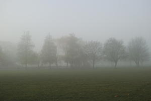 deciduous, England, eye level view, fog, grass, London, natural light, overcast, park, silhouette, The United Kingdom, tree, winter