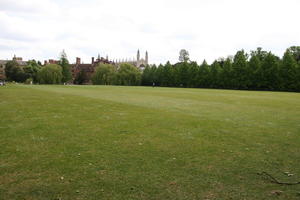 afternoon, Cambridge, day, England, eye level view, grass, lawn, spring, The United Kingdom, tree, vegetation