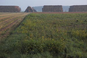 Poland, Wielkopolskie