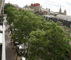 Bourgogne, day, Dijon, elevated, France, overcast, street, summer, tree, vegetation