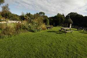 autumn, bench, bush, day, Eden Project, England, eye level view, flowered bush, garden, grass, shrub, sunny, The United Kingdom