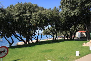 beach, Croatia, day, eye level view, seascape, summer, sunlight, sunny, sunshine, tree, vegetation, Zadarska