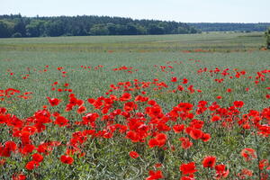 Poland