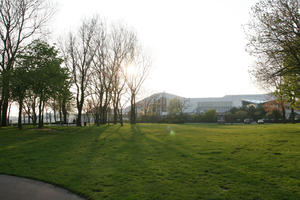 Boulogne-sur-Mer, broad-leaf tree, broad-leaved tree, day, dusk, eye level view, France, grass, Nord-Pas-de-Calais, park, spring, sunny, tree