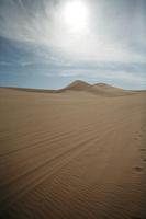 day, desert, direct sunlight, eye level view, Ica, Peru, sand dune, spring, sunlight, sunny, sunshine