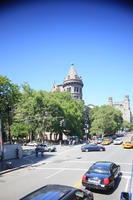 car, day, elevated, Manhattan, New York, street, sunny, The United States, tree, vegetation