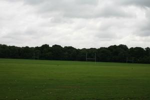 day, England, eye level view, field, grass, London, natural light, The United Kingdom, vegetation