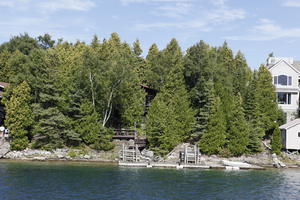 broad-leaf tree, broad-leaved tree, Canada, coniferous, day, eye level view, Ontario, seascape, summer, sunny, Tobermory, tree, treeline, woodland