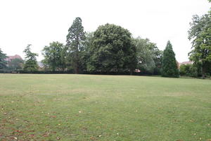 Abingdon, day, England, eye level view, garden, grass, natural light, park, summer, The United Kingdom, tree, treeline