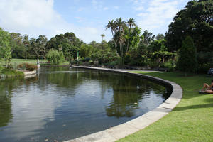 Australia, day, eye level view, grass, natural light, New South Wales, palm, park, pond, summer, sunny, Sydney, tree, vegetation