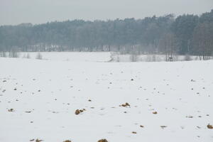 Poland, Wielkopolskie