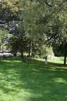 Belgium, Brussels, day, eye level view, grass, natural light, park, summer, tree, vegetation