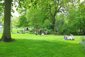 day, England, eye level view, family, garden, grass, natural light, park, people, The United Kingdom, Woking