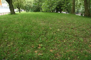 day, diffuse, diffused light, England, eye level view, grass, London, park, summer, The United Kingdom