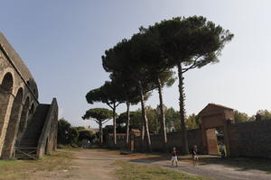 Campania, day, exhibition, exposition, eye level view, Italia , Napoli, park, pine, ruin, summer, tree canopy, treeline