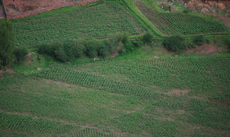 aerial view, Cusco, day, diffuse, diffused light, field, Peru, Pisaq, summer