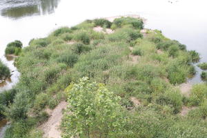 above, Beaugency, Centre, coastline, day, France, grass, natural light, vegetation