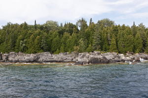 broad-leaf tree, broad-leaved tree, Canada, cliff, coniferous, day, eye level view, Ontario, seascape, summer, sunny, Tobermory, tree, treeline, woodland