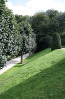 Belgium, Brussels, day, eye level view, grass, natural light, park, summer, tree, vegetation